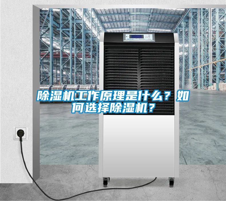 蜜柚直播APP正版下载工作原理是什么？如何选择蜜柚直播APP正版下载？