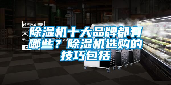 蜜柚直播APP正版下载十大品牌都有哪些？蜜柚直播APP正版下载选购的技巧包括