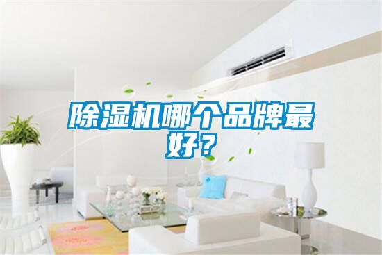 蜜柚直播APP正版下载哪个品牌最好？