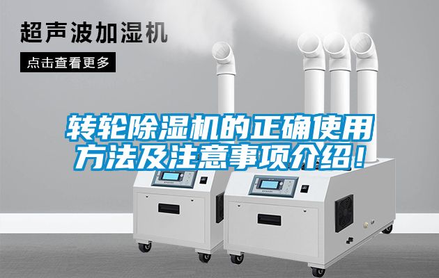 转轮蜜柚直播APP正版下载的正确使用方法及注意事项介绍！