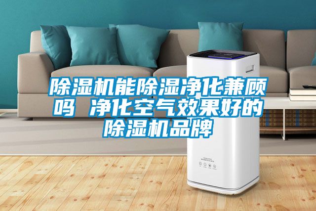蜜柚直播APP正版下载能除湿净化兼顾吗 净化空气效果好的蜜柚直播APP正版下载品牌