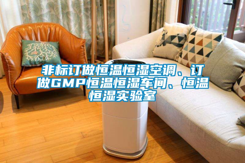 非标订做恒温恒湿空调、订做GMP恒温恒湿车间、恒温恒湿实验室