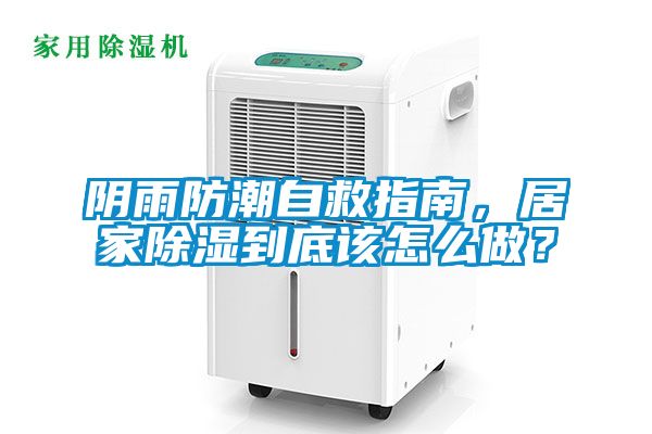 阴雨防潮自救指南，居家除湿到底该怎么做？
