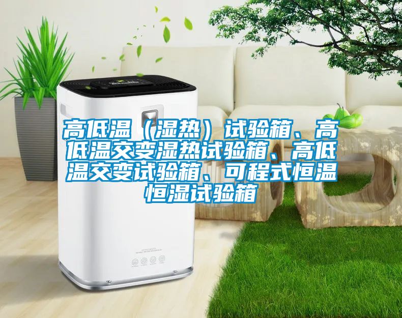 高低温（湿热）试验箱、高低温交变湿热试验箱、高低温交变试验箱、可程式恒温恒湿试验箱