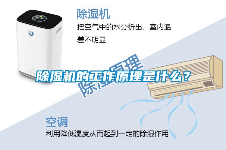 蜜柚直播APP正版下载的工作原理是什么？