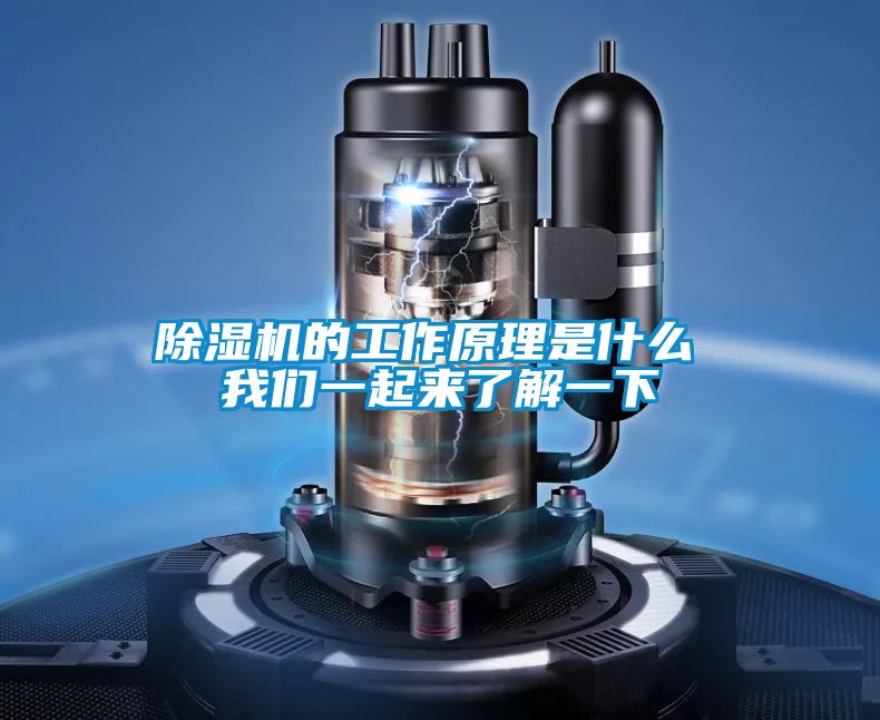 蜜柚直播APP正版下载的工作原理是什么 蜜柚直播软件下载APP一起来了解一下