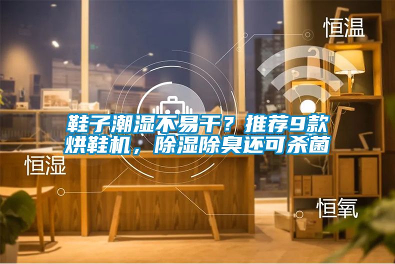 鞋子潮湿不易干？推荐9款烘鞋机，除湿除臭还可杀菌