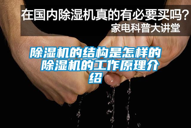 蜜柚直播APP正版下载的结构是怎样的 蜜柚直播APP正版下载的工作原理介绍