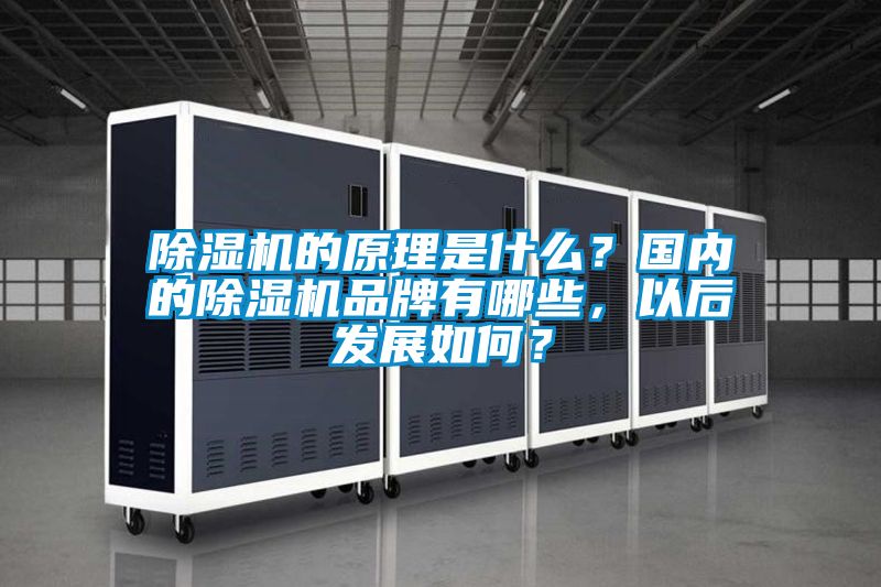 蜜柚直播APP正版下载的原理是什么？国内的蜜柚直播APP正版下载品牌有哪些，以后发展如何？