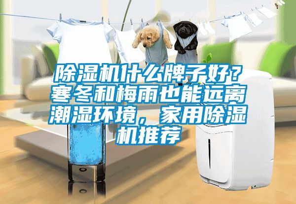 蜜柚直播APP正版下载什么牌子好？寒冬和梅雨也能远离潮湿环境，家用蜜柚直播APP正版下载推荐