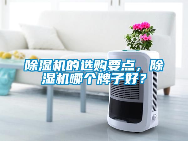 蜜柚直播APP正版下载的选购要点，蜜柚直播APP正版下载哪个牌子好？