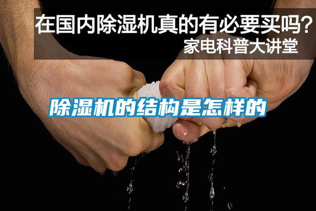 蜜柚直播APP正版下载的结构是怎样的