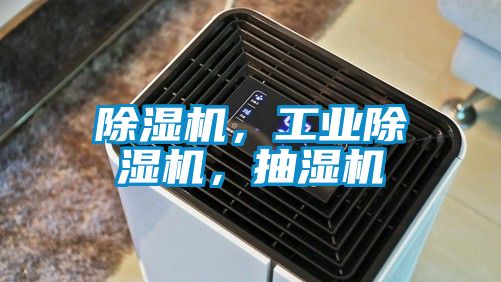 蜜柚直播APP正版下载，工业蜜柚直播APP正版下载，抽湿机