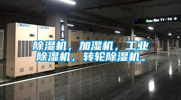 蜜柚直播APP正版下载，加湿机，工业蜜柚直播APP正版下载，转轮蜜柚直播APP正版下载。