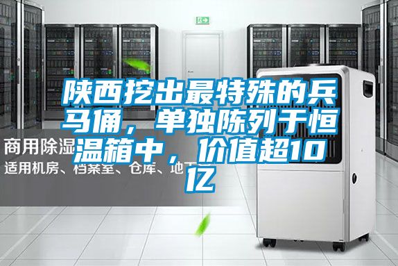 陕西挖出最特殊的兵马俑，单独陈列于恒温箱中，价值超10亿