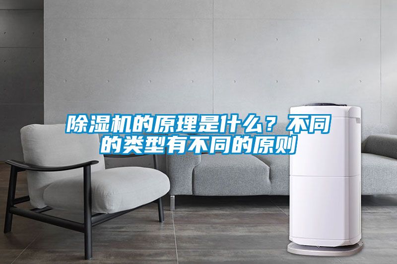 蜜柚直播APP正版下载的原理是什么？不同的类型有不同的原则