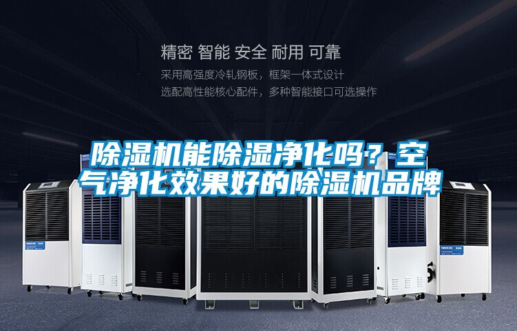 蜜柚直播APP正版下载能除湿净化吗？空气净化效果好的蜜柚直播APP正版下载品牌