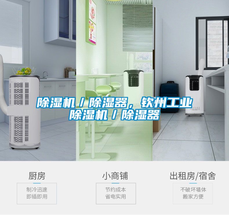 蜜柚直播APP正版下载／除湿器，钦州工业蜜柚直播APP正版下载／除湿器