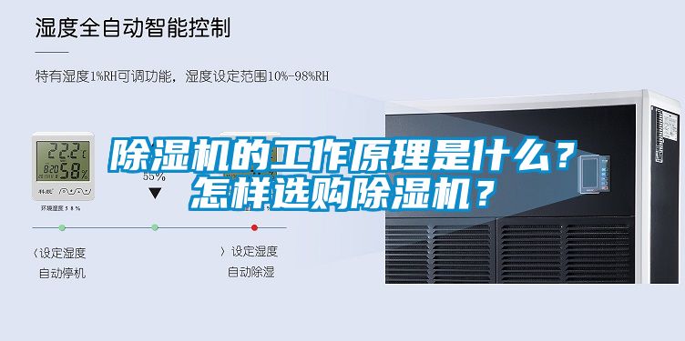 蜜柚直播APP正版下载的工作原理是什么？怎样选购蜜柚直播APP正版下载？