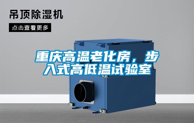 重庆高温老化房，步入式高低温试验室