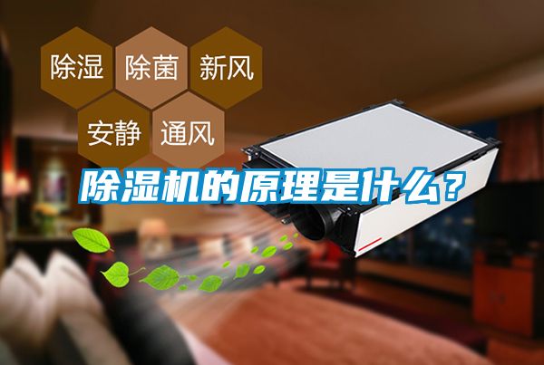 蜜柚直播APP正版下载的原理是什么？