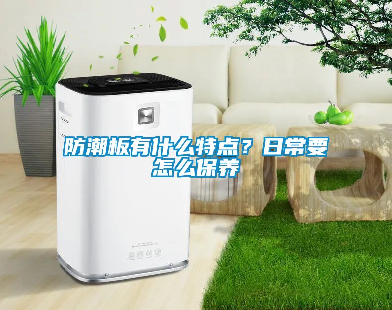 防潮板有什么特点？日常要怎么保养
