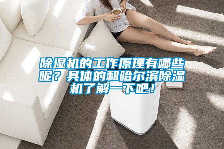 蜜柚直播APP正版下载的工作原理有哪些呢？具体的和哈尔滨蜜柚直播APP正版下载了解一下吧！