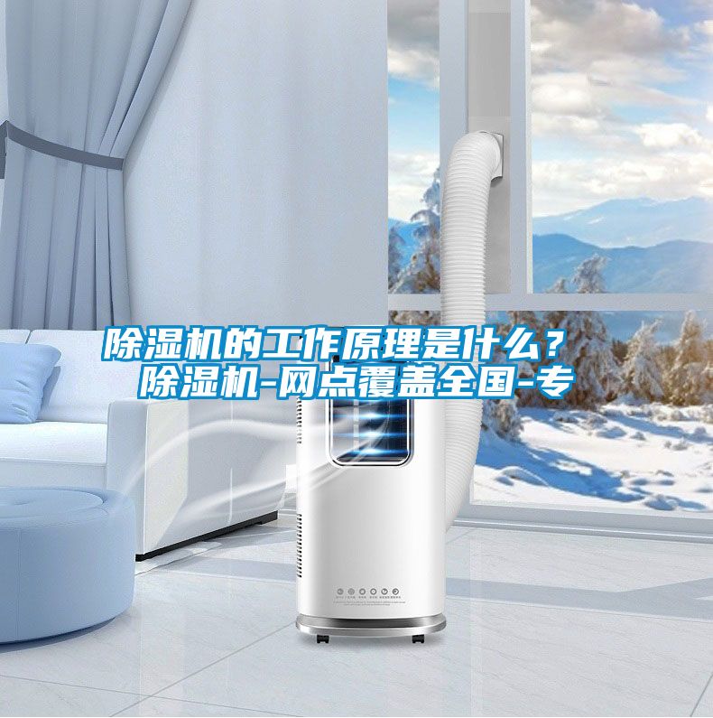蜜柚直播APP正版下载的工作原理是什么？ 蜜柚直播APP正版下载-网点覆盖全国-专