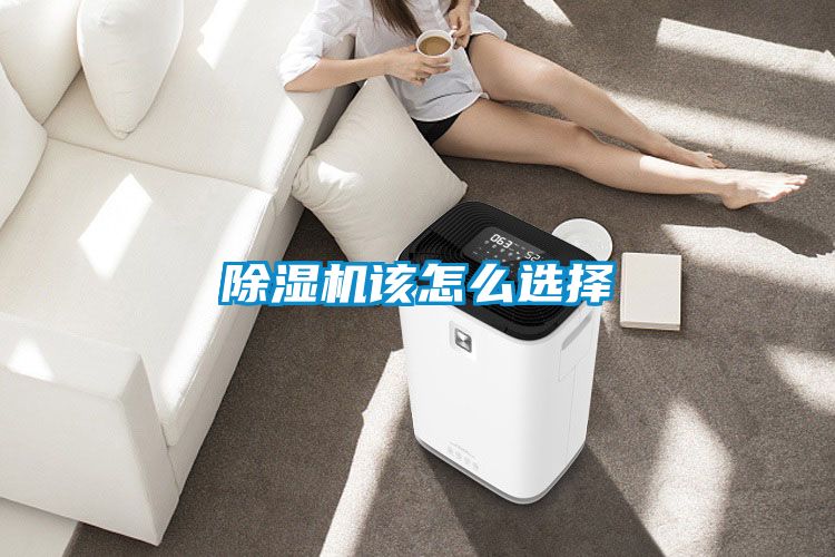 蜜柚直播APP正版下载该怎么选择