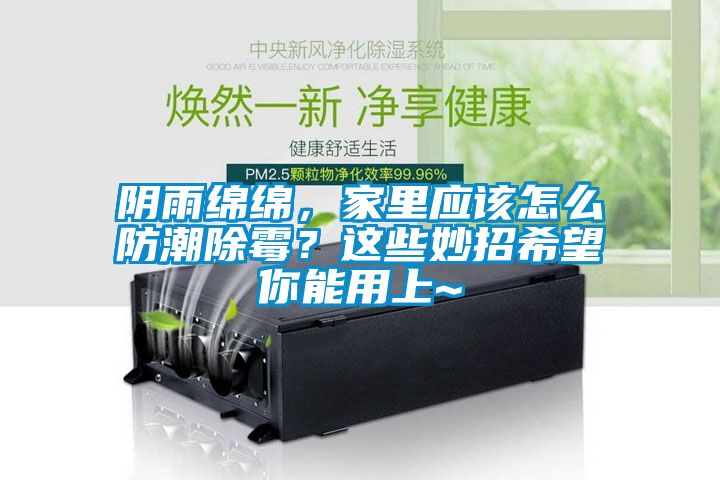阴雨绵绵，家里应该怎么防潮除霉？这些妙招希望你能用上~