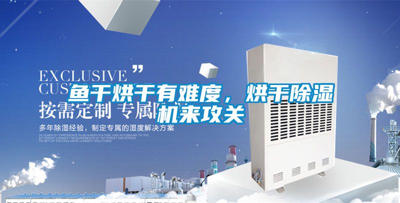 鱼干烘干有难度，烘干蜜柚直播APP正版下载来攻关