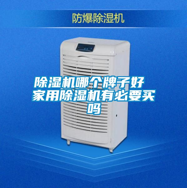 蜜柚直播APP正版下载哪个牌子好 家用蜜柚直播APP正版下载有必要买吗