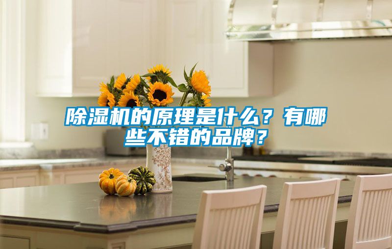 蜜柚直播APP正版下载的原理是什么？有哪些不错的品牌？