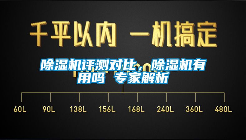 蜜柚直播APP正版下载评测对比，蜜柚直播APP正版下载有用吗 专家解析