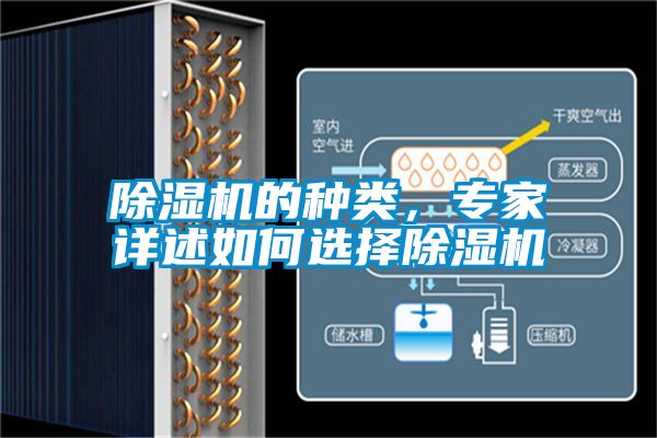 蜜柚直播APP正版下载的种类，专家详述如何选择蜜柚直播APP正版下载