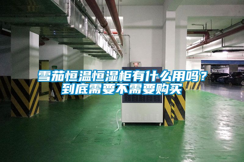 雪茄恒温恒湿柜有什么用吗？到底需要不需要购买