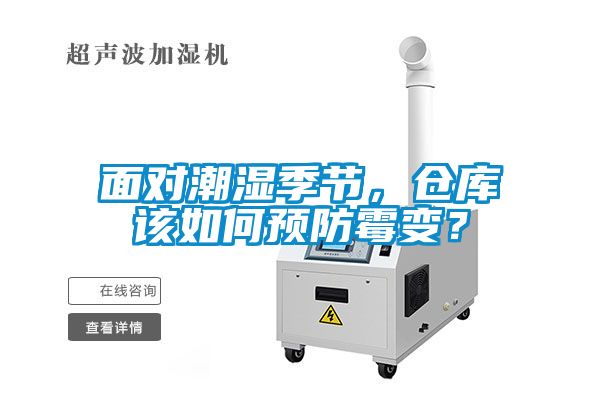 面对潮湿季节，仓库该如何预防霉变？