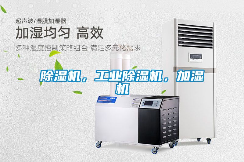 蜜柚直播APP正版下载，工业蜜柚直播APP正版下载，加湿机