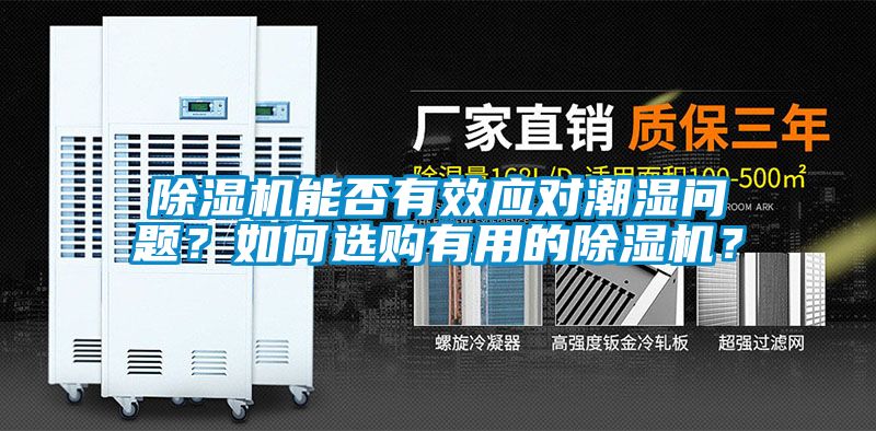 蜜柚直播APP正版下载能否有效应对潮湿问题？如何选购有用的蜜柚直播APP正版下载？