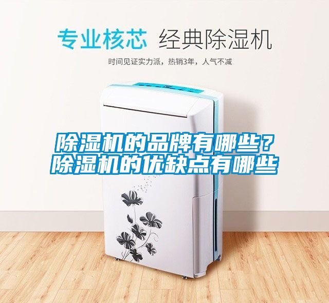 蜜柚直播APP正版下载的品牌有哪些？蜜柚直播APP正版下载的优缺点有哪些