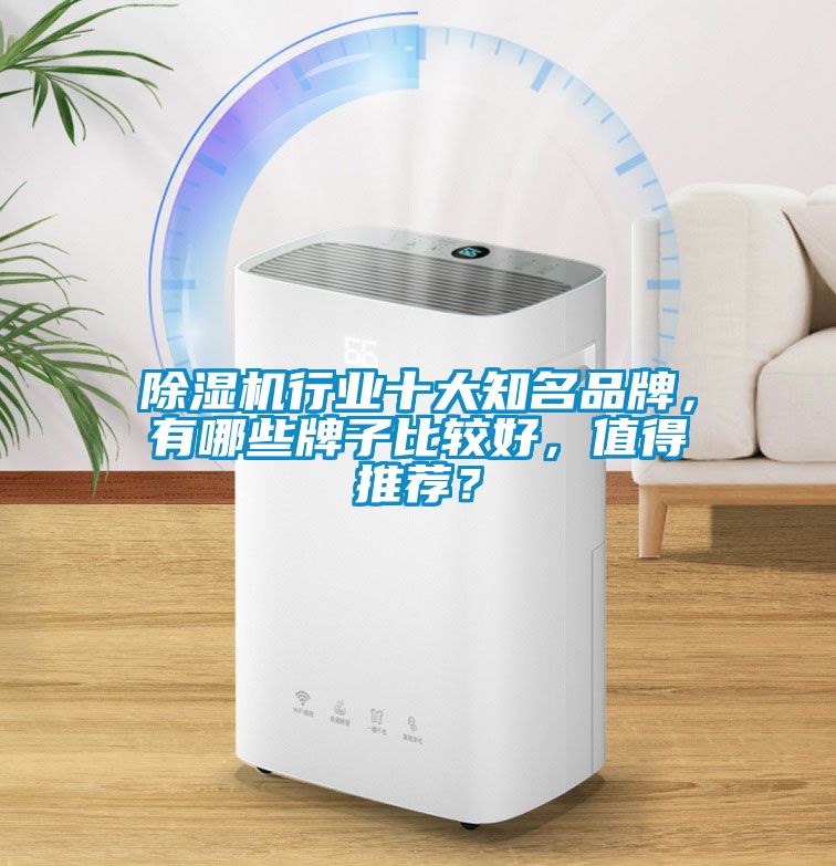 蜜柚直播APP正版下载行业十大知名品牌，有哪些牌子比较好，值得推荐？