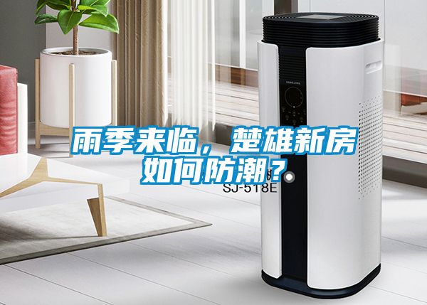 雨季来临，楚雄新房如何防潮？
