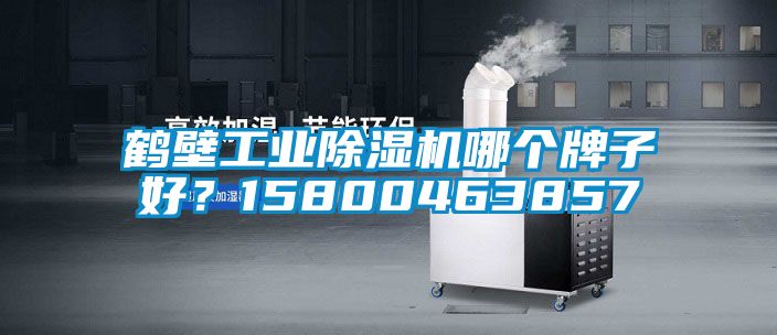 鹤壁工业蜜柚直播APP正版下载哪个牌子好？15800463857